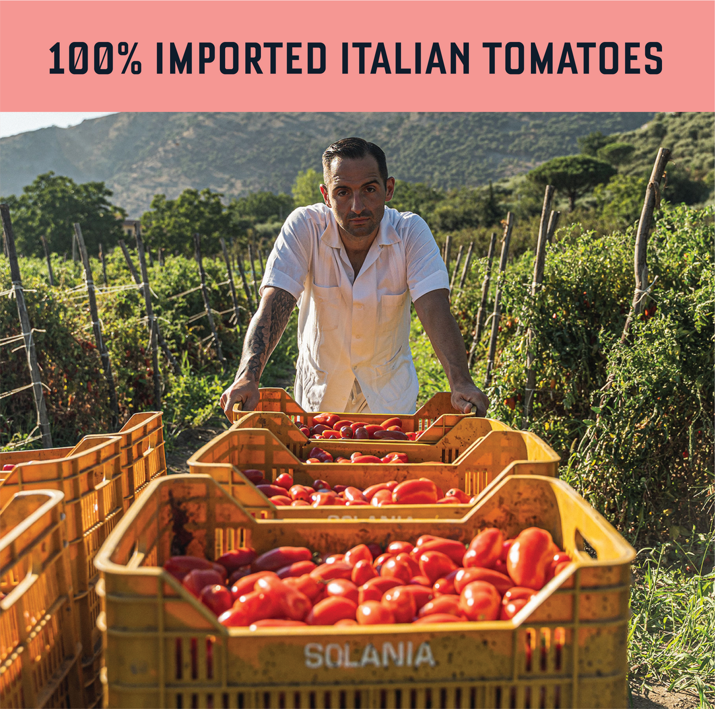 Carbone Spicy Vodka Kit | 6-Piece Gift Set